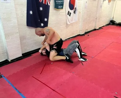 Martial Arts Training